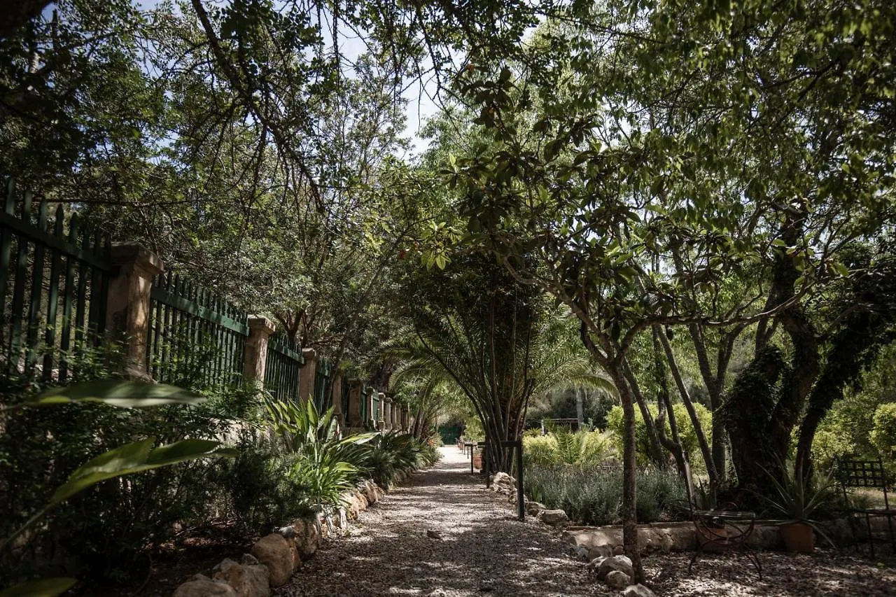 Agroturismo Son Boronat Calvia  4*, Calvia (Mallorca)