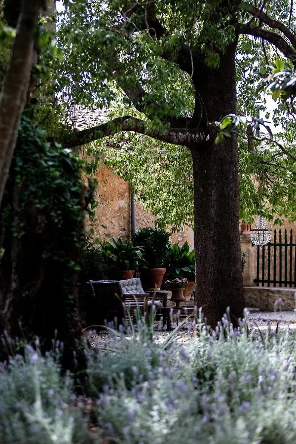 Agroturismo Son Boronat Calvia  Hotel