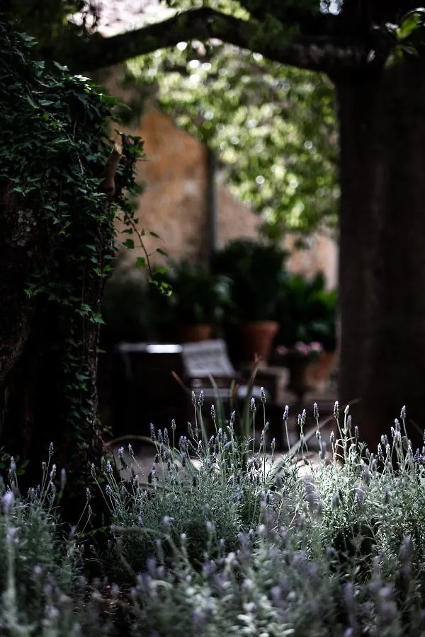Agroturismo Son Boronat Calvia  Spain