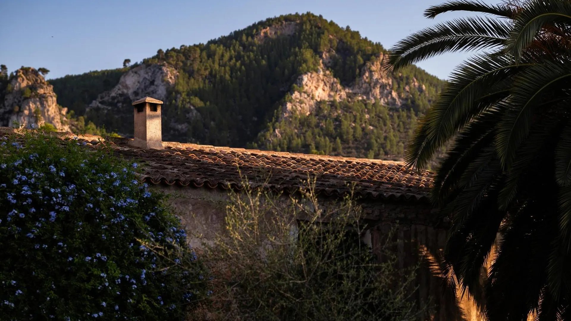 Agroturismo Son Boronat Calvia  Calvia (Mallorca)